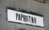 Paprotno 2006
