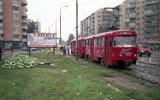 Strada Nufărului 1996